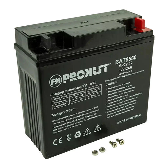 Prokut AGM Battery  12 Volt 22 Ah, 200 CCA, AGM Stiga Victa Castelgarden Ride On