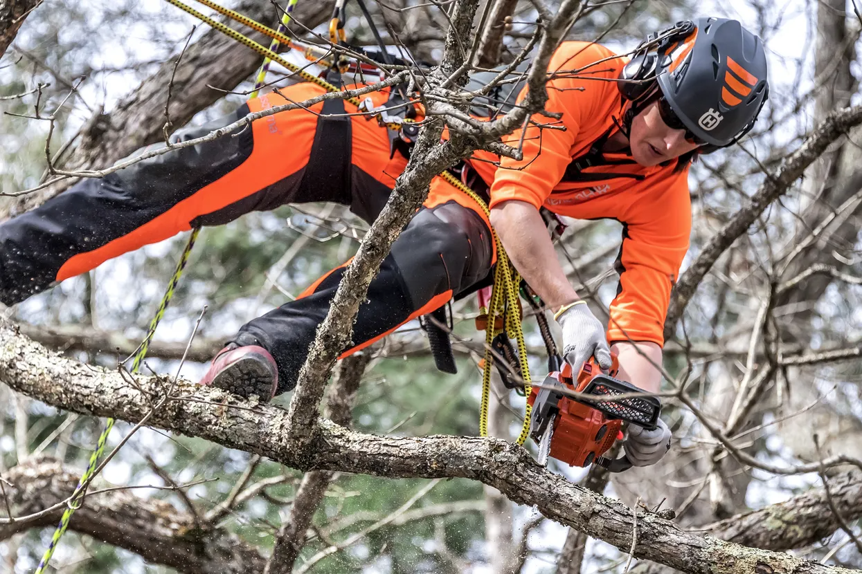 Husqvarna T525 Chainsaw
